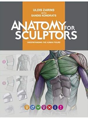 Anatomy for Sculptors, Understanding the Human Figure