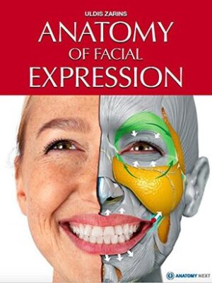 Anatomy of Facial Expression